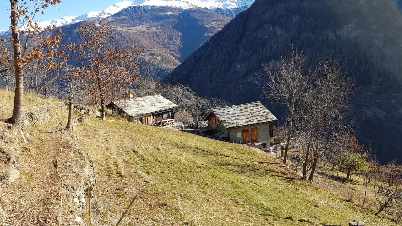 Willa Chalet La Paz With Hotpot And Sauna Törbel Zewnętrze zdjęcie