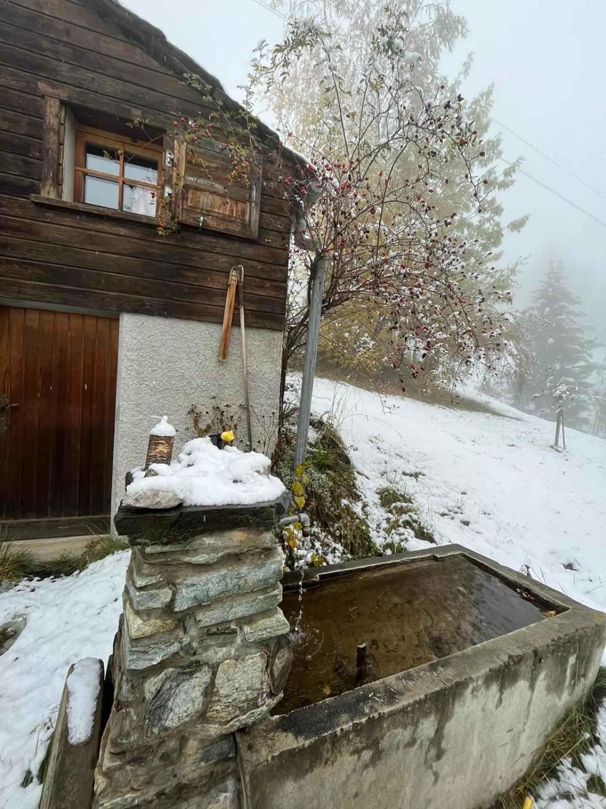Willa Chalet La Paz With Hotpot And Sauna Törbel Zewnętrze zdjęcie